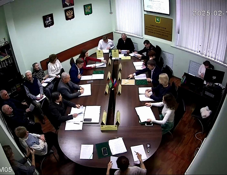 Видео заседания совета депутатов МО Перово от 11.02.2025
