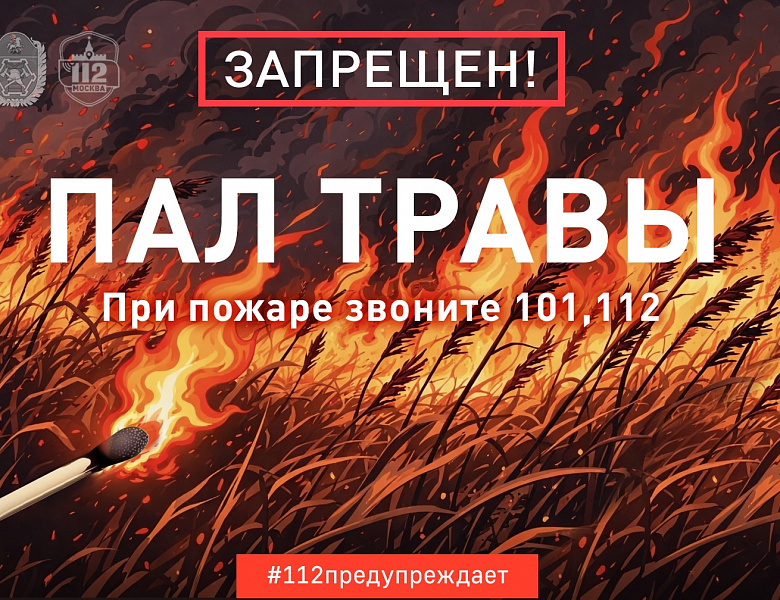Огненная ситуация