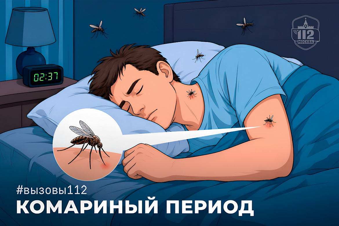 Осторожно – комары: когда укус становится опасным
