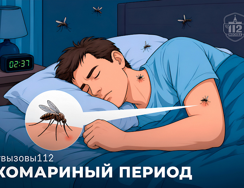 Осторожно – комары: когда укус становится опасным