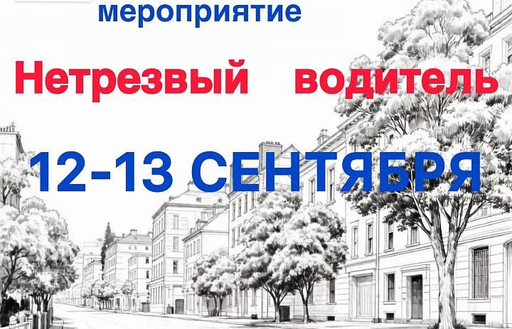 С 12 по 13 сентября 2026 года на территории ВАО пройдет профилактический рейд ГИБДД «Нетрезвый водитель»